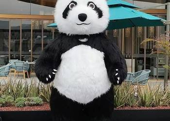 GIGANT XXL KOSTIUM DMUCHANY MISIA PANDY 2.6 METRA 260 CM - sprz. prywatna