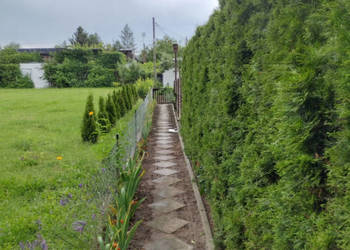 Działka ROD z domkiem 2026 – Aleksandrów Kujawski rower