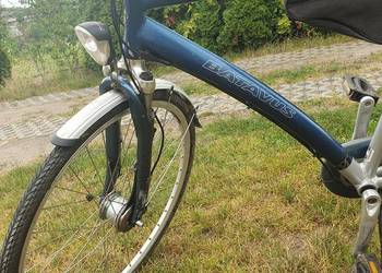 Rower Batavus