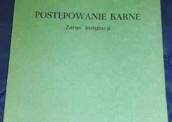 Postępowanie karne. Zarys instytucji - Marian Cieślak