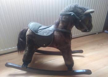 Konik na biegunach