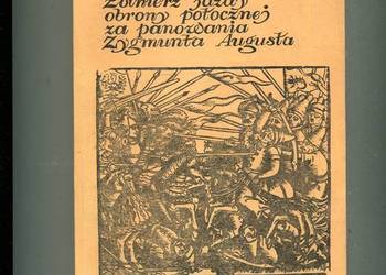 Żołnierz jazdy potocznej za panowania Zygmunta Augusta - Marek Plewczyński