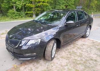 Skoda Octavia Salon Polska