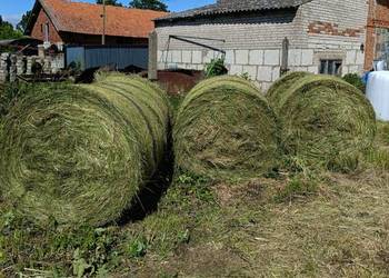 Sprzedam bele siana oraz sianokiszonki