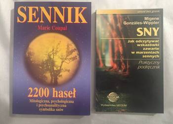 Zestaw Sennik 2200 haseł + Sny poradnik jak je interpretować