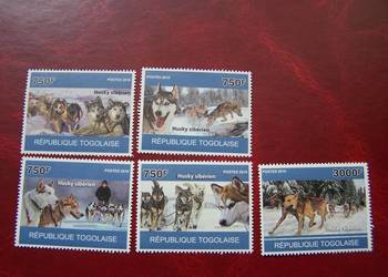 Togo MNH 2010 Psy Husky