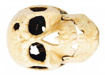 Żeliwna czaszka dekoracyjna CZACHA figura rekwizyt