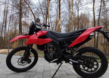 Sprzedam Malagutii xtm