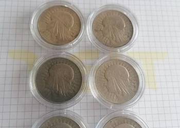 5zl głowa Kobiety