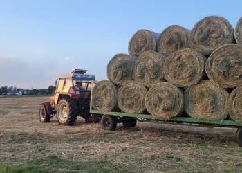 Siano, słoma