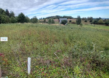 Grunt Morawica 800m2