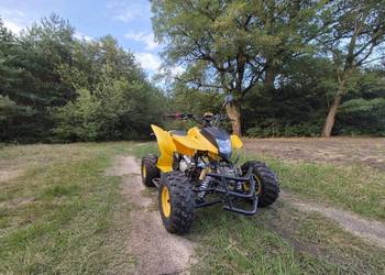 Bashan 200 250 Quad ATV