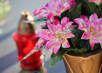 Posprzątanie grobu, Cmentarz Wrocław, grobów, cennik, cena