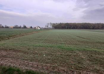 Działka budowlana - zagrodowa Wólka Horyszowska DK74