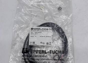 Pepperl+Fuchs NEB6-12GM50-E2 Inductive sensor