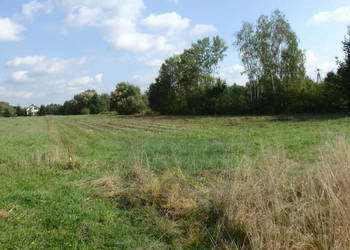 Działka budowlana w Ostrowie.