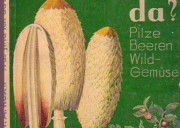(689)WAS FIND ICH DA? - PILZE, BEEREN, WILDGEMUSE- A.KOSCH F