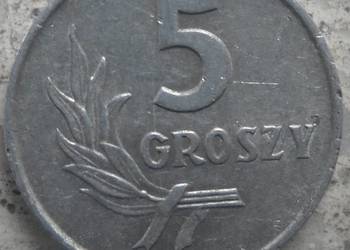 POLSKA-5 GROSZY-1962 r (b.z.)-AL-