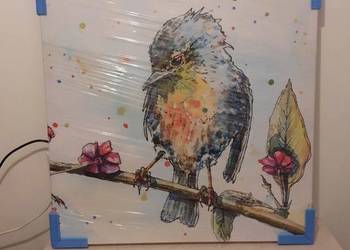 Obraz na płótnie 70 x 70 nowy ptak ptaszek