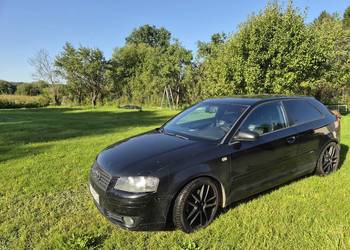 Audi A3 8P 2.0 TDI