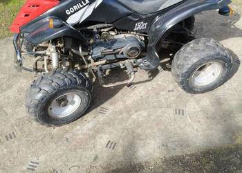 Quad Bashan 150