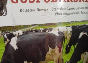 Rasy zwierząt domowych podręczniki szkolne księgarnia Praga