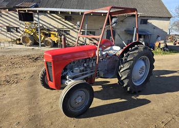 Ciągnik FERGUSON TEF20 zarejestrowany (30 KM, diesel)