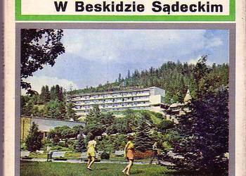 (1154) W BESKIDZIE SĄDECKIM – ZDZISŁAW MAŁEK