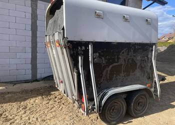 Przyczepa dla koni bez dokumentów,