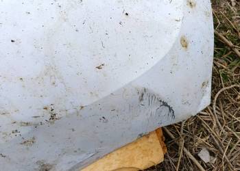 MASKA MASTER III PO LIFCIE