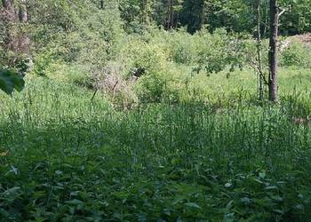 Atrakcyjna , duża działka rolna - gm. NAREW