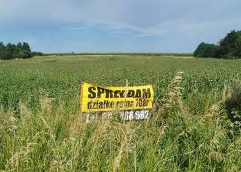 Działka rolna, ziemia orna