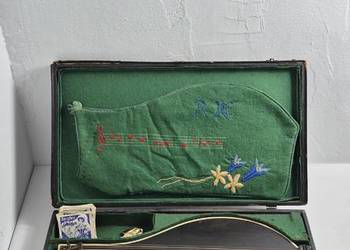 Stara Cytra Koncertowa – Zestaw: Futerał, Struny Bergfee, Pazurek