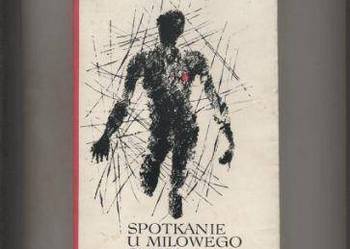 Spotkanie u milowego słupa - Sigurd Hoel