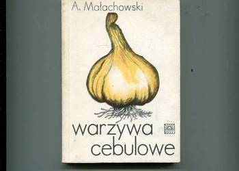 Warzywa cebulowe - Małachowski