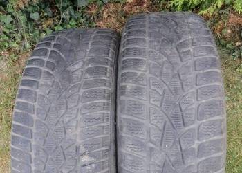 Opony zimowe Dunlop 225/50 R17