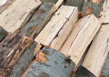 Drewno kominkowe i opałowe