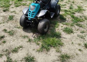 Quad 110 automat
