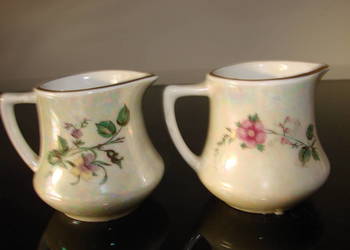 Lubiana Inter American mały mlecznik