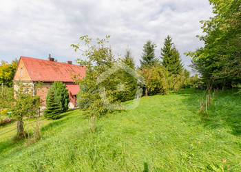 Dom wolnostojący na działce 1,26 ha