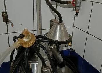 Dojarka do mleka do krów