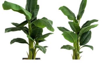 Sztuczna palma / bananowiec premium ok. 180 cm z donicą – jak nowa