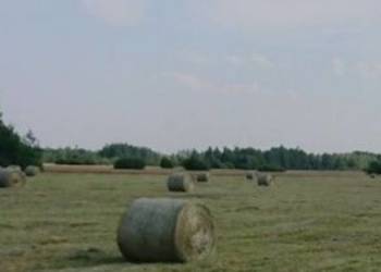 Słoma/siano ściółka w belach Słoma/siano ściółka w belach