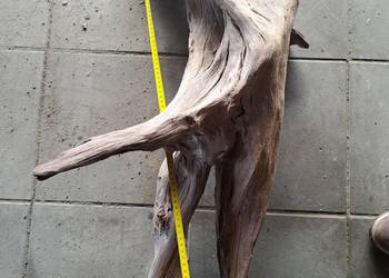 Korzeń korzenie do akwarium