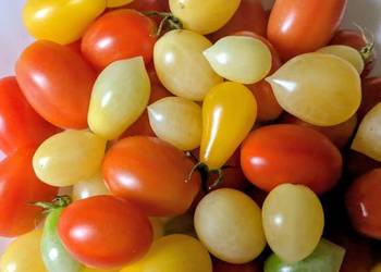 Pomidory koktajlowe nasiona Barry's Cherry truskawkowe