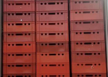 Plastiki e2 na mięso