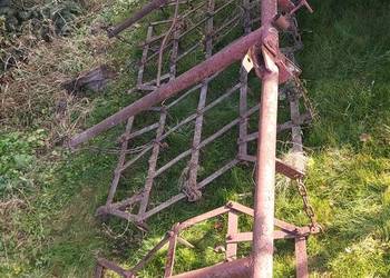 Brony 5 polowe unia grudziądz