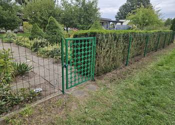 Działka na ROD Wiosenka