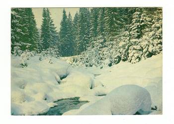 BESKID ŚLĄSKI DOLINA CZARNEJ WISEŁKI POCZTÓWKA BESKID ŚLĄSKI DOLINA CZARNEJ WISEŁKI POCZTÓWKA