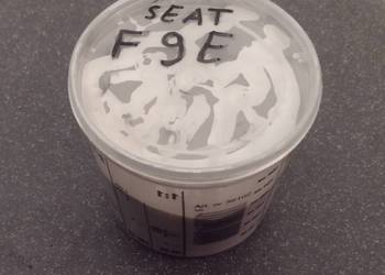 lakier zaprawkowy F9E Seat Skoda 100 ml